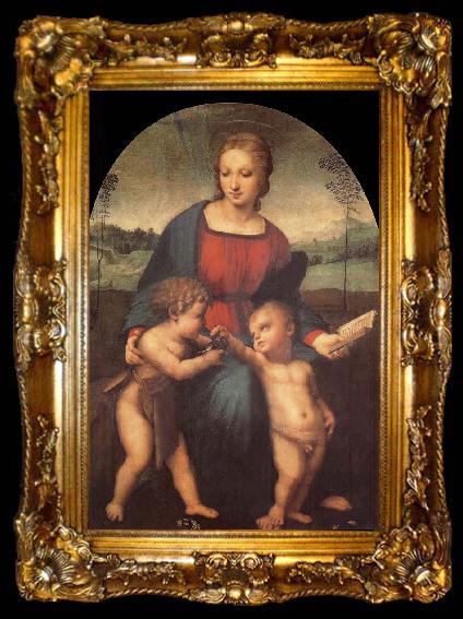framed  Aragon jose Rafael The Madonna of the goldfinch, ta009-2